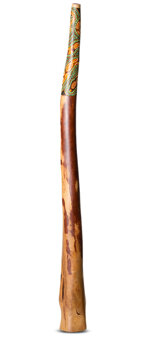 Heartland Didgeridoo (HD345)